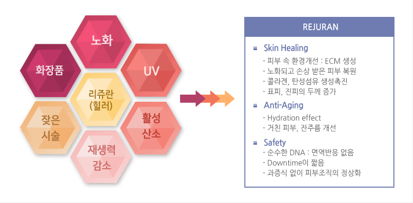 Skin Healing- Ǻ  ȯ氳 : ECM - ȭǰ ջ  Ǻ - ݶ, ź - ǥ,  β 
                    Anti-Aging - Hydration effect- ģ Ǻ, ָ 
					Safety-  DNA : 鿪 - Downtime ª-   Ǻ ȭ