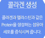 ݶ :ݶհ ƾ Protein ϴ Ƽ Ľ ݴϴ.